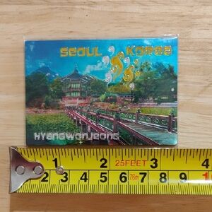 Seoul Korea Magnet with Scenic Design